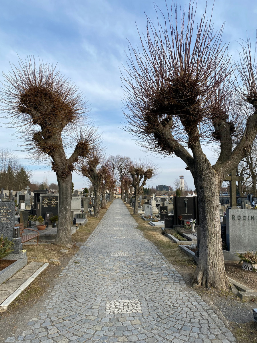 Hřbitov na ulici Jamská